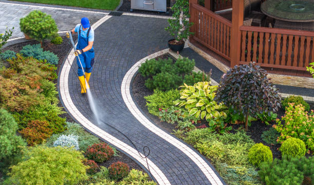 Best Residential Pressure Washing Services  in South Bend, WA